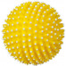 Suņu rotaļlieta Trixie HEDGEBALL 16cm